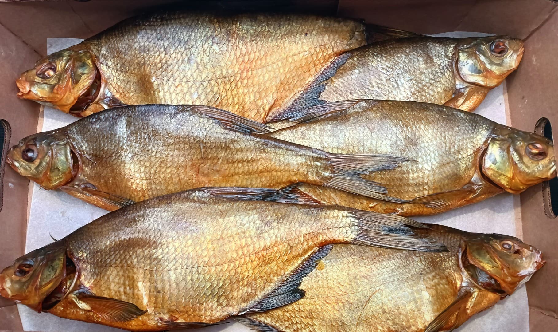 лещ  х/к