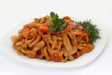 Грибы опята  1в 1,9
